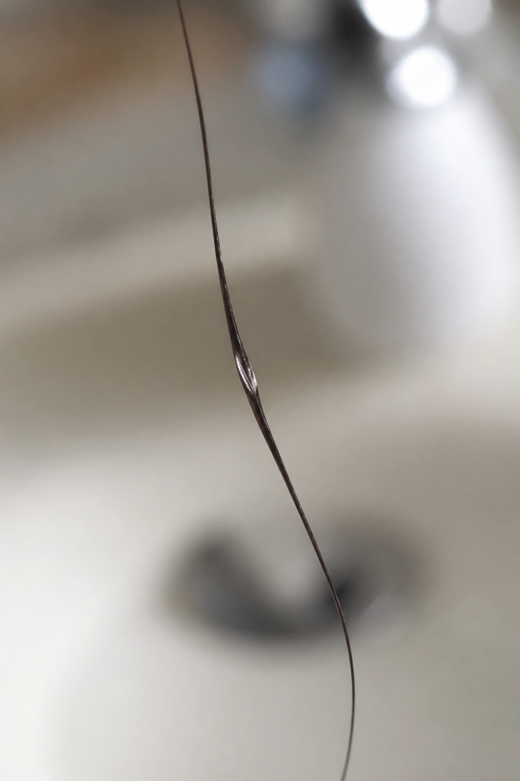 Close-up of a fine hair strand showing moisture balance and texture.